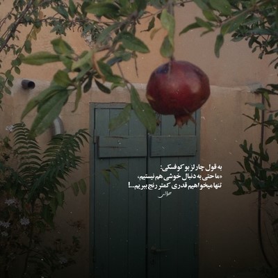 مهدیار دیگه همون نیسم شدم خیلی عوض